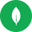 MongoDB icon